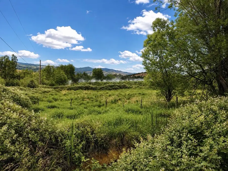 258 Cabbage Lane, Phoenix, OR 97535 - #2