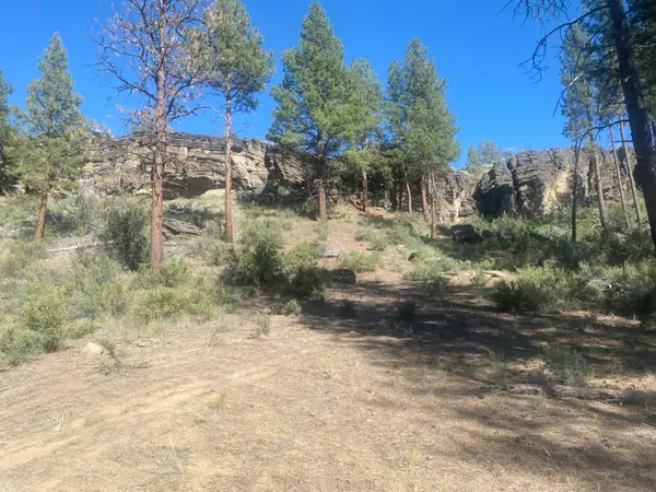 0 Klamath Forest Estates, Sprague River, OR 97639