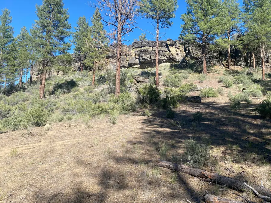 0 Klamath Forest Estates, Sprague River, OR 97639 - #2