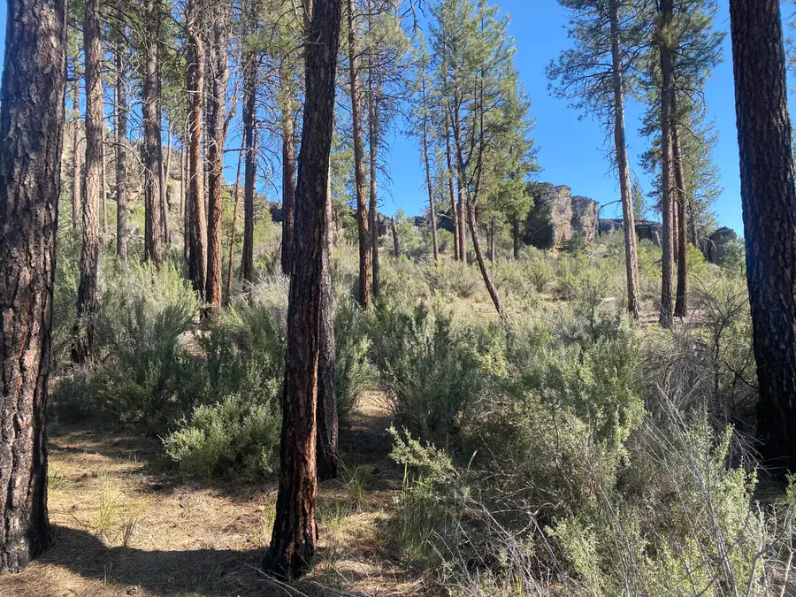 0 Klamath Forest Estates, Sprague River, OR 97639 - #3