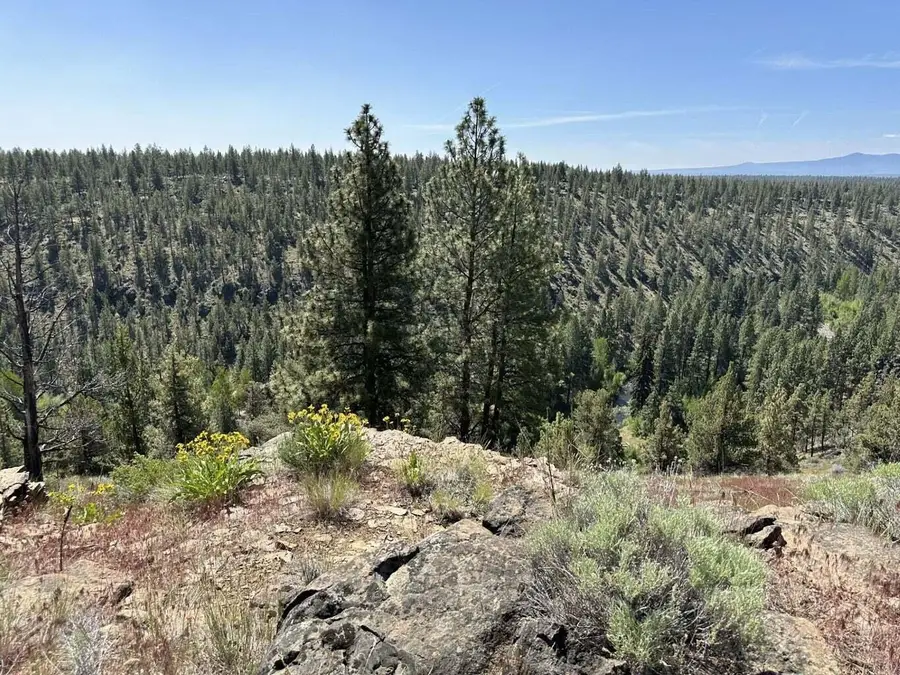 17127 Mountain View Road, Sisters, OR 97759 - #2