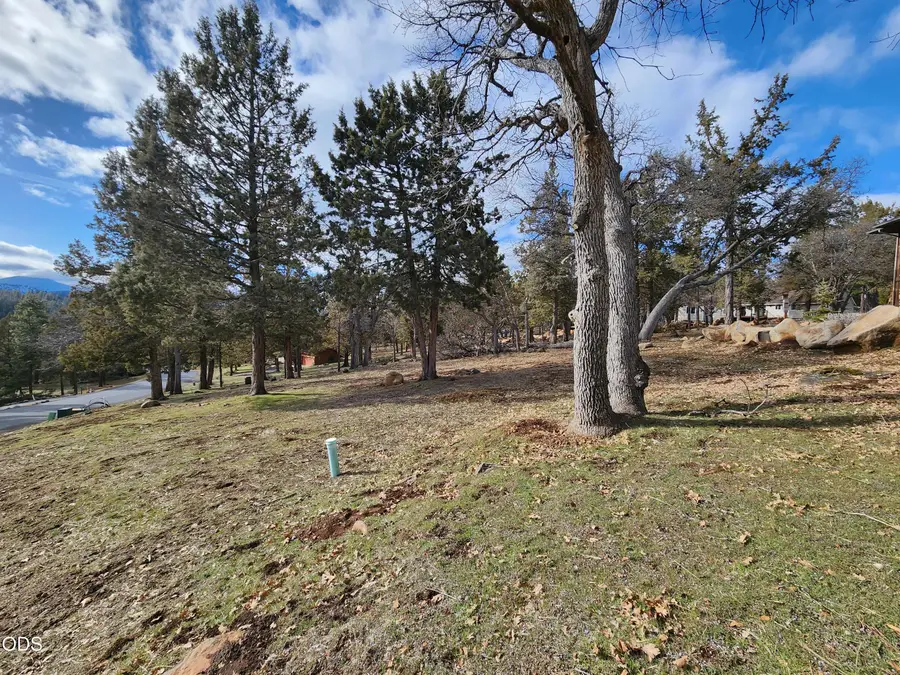 Coopers Hawk #259, Klamath Falls, OR 97601 - #3