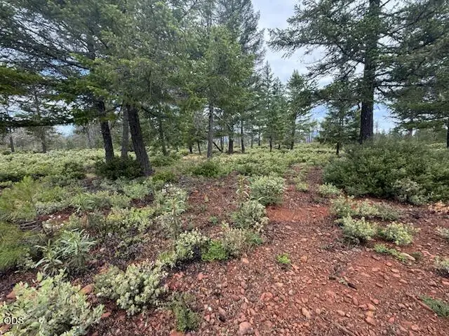 32001 Redwood Highway, Cave Junction, OR 97523 - #1