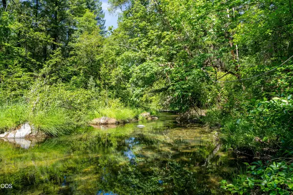 0 Lower Grave Creek Road, Wolf Creek, OR 97497