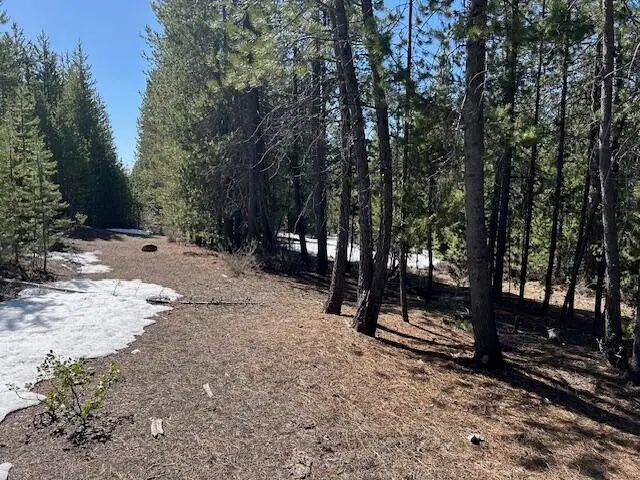 33 Emerald Meadows Way, Crescent Lake, OR 97733 - #2