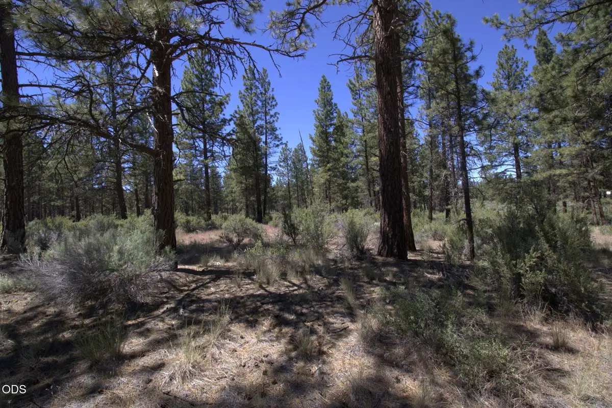 Pow Wow Lane #Lot 15, Sprague River, OR 97639 - #1