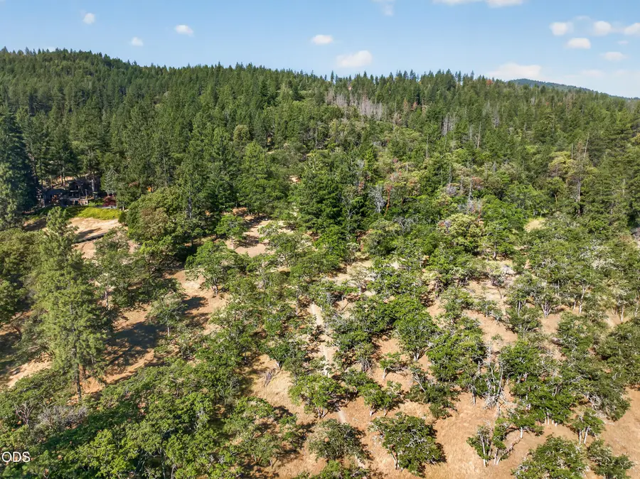 Elkader Tl 100 Street, Ashland, OR 97520 - #3