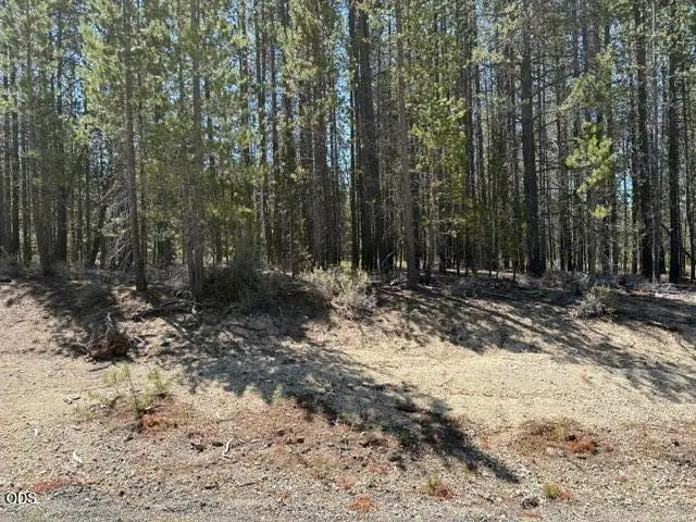 27 Surveyor Road, Crescent Lake, OR 97733 - #1