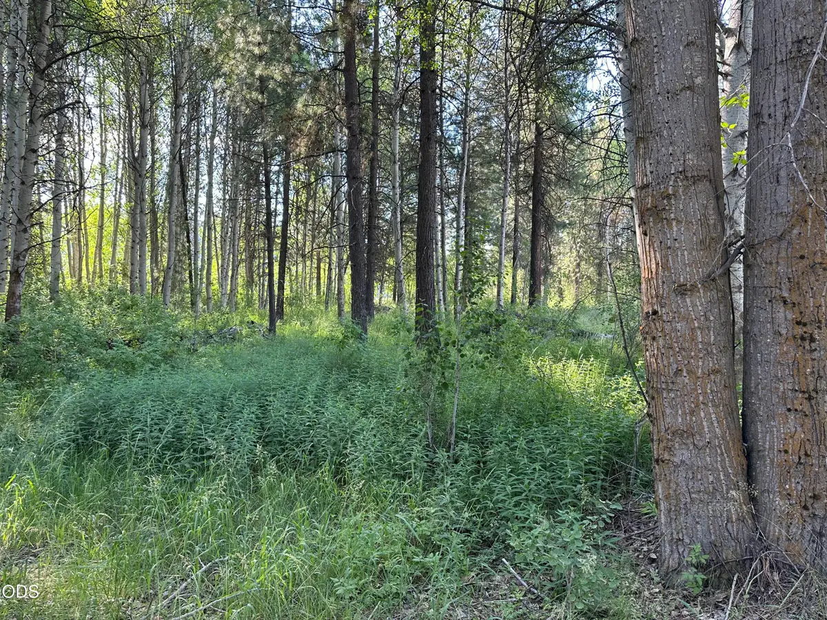 0 Highway 62, Chiloquin, OR 97624 - #1