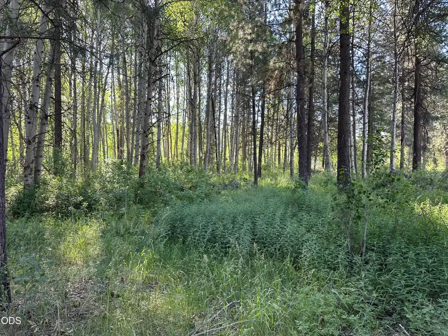 0 Highway 62, Chiloquin, OR 97624 - #2