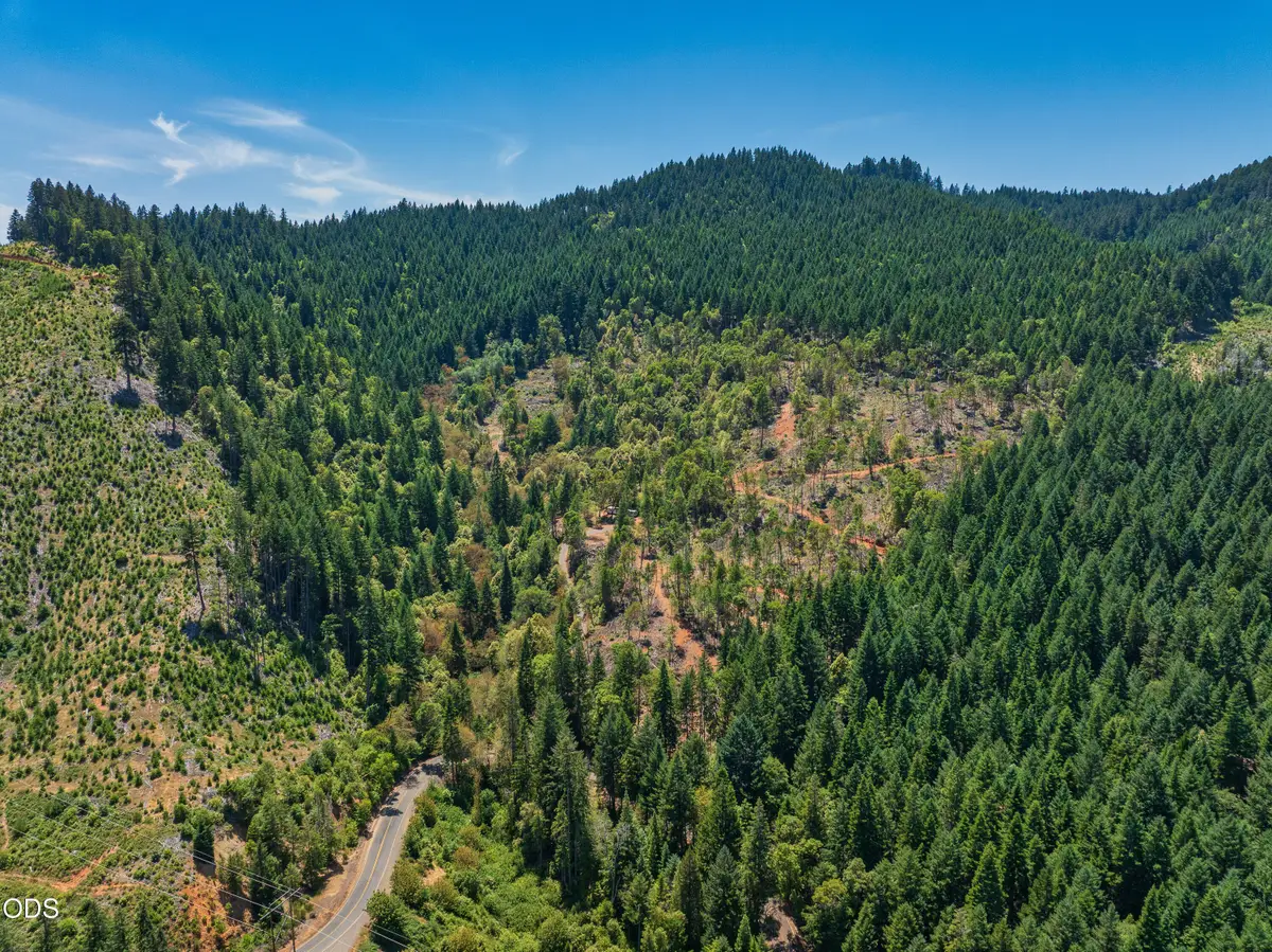 1132 Bridge Lane, Wolf Creek, OR 97497 - #1