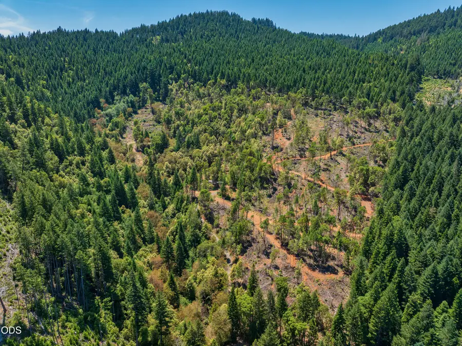 1132 Bridge Lane, Wolf Creek, OR 97497 - #2