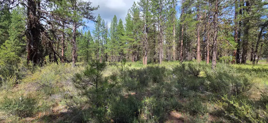 Mystic Way, Klamath Falls, OR 97601 - #2