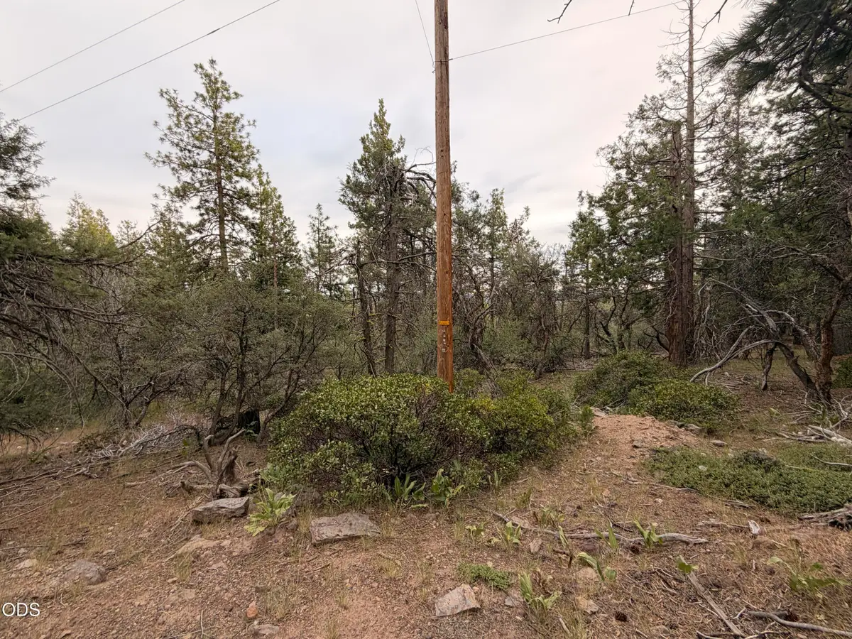 0 Porpoise Lane #15, Bonanza, OR 97623 - #1