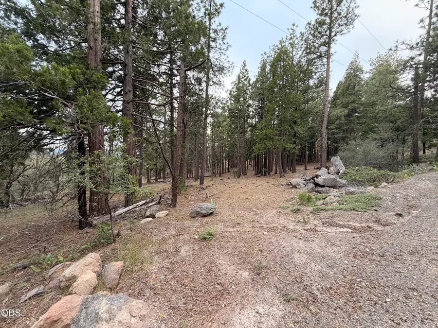 0 Porpoise Lane #15, Bonanza, OR 97623 - #3