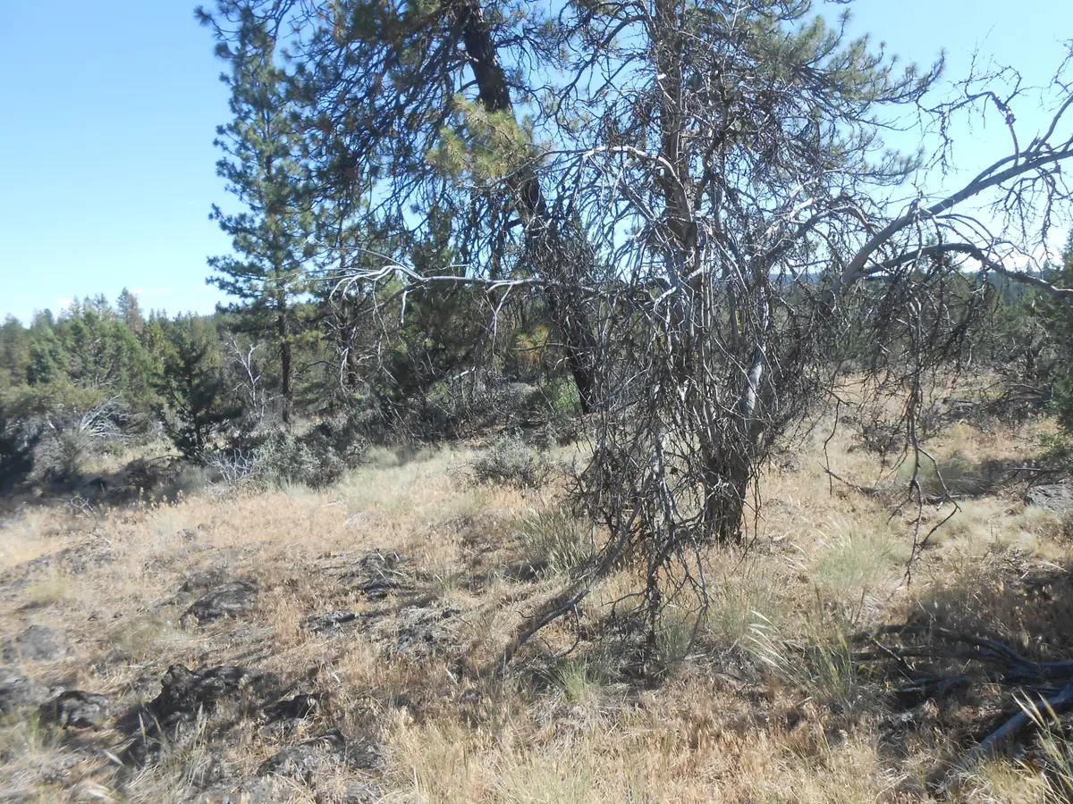 0 Ground Squirrel Drive, Bonanza, OR 97623 - #1