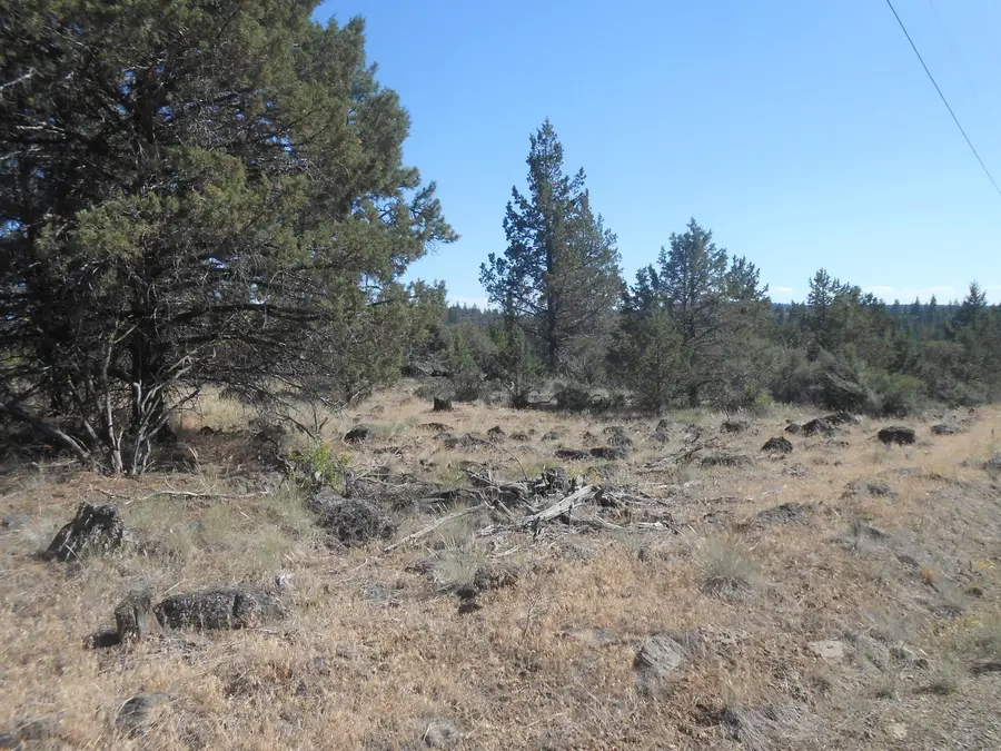 0 Ground Squirrel Drive, Bonanza, OR 97623 - #2