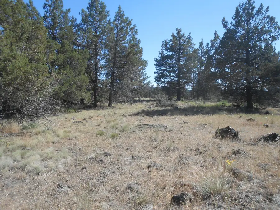 0 Ground Squirrel Drive, Bonanza, OR 97623 - #3