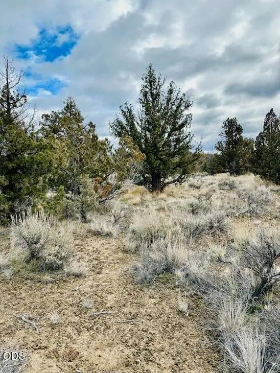 3152 SE Pilot Drive, Prineville, OR 97754 - #1