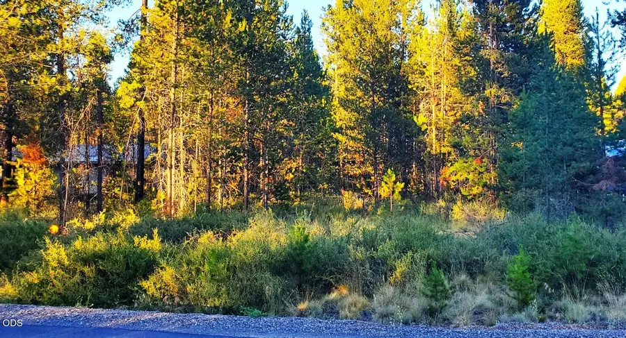 55618 Snow Goose Road, Bend, OR 97707 - #2