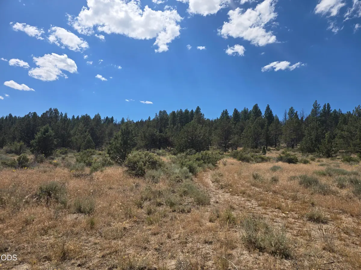 Tableland Road #700, Sprague River, OR 97639 - #1