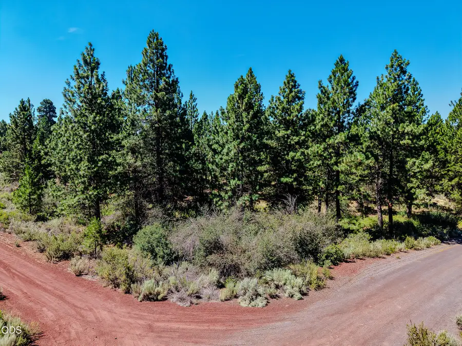 0 Duke Drive, Chiloquin, OR 97624 - #2
