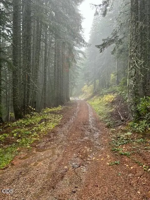 0 Forest Road 2820 #100, Sweet Home, OR 97386
