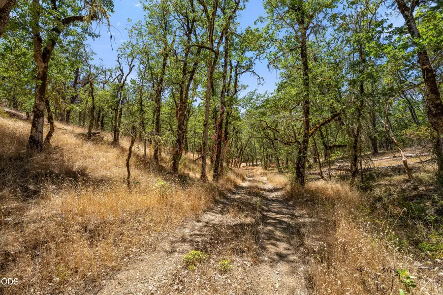 4199 Foots Creek Road, Rogue River, OR 97537 - #3