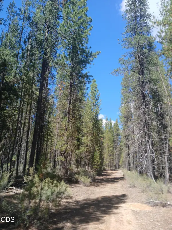 0 Schoonover 5 Road #Lot 3600, Crescent, OR 97733