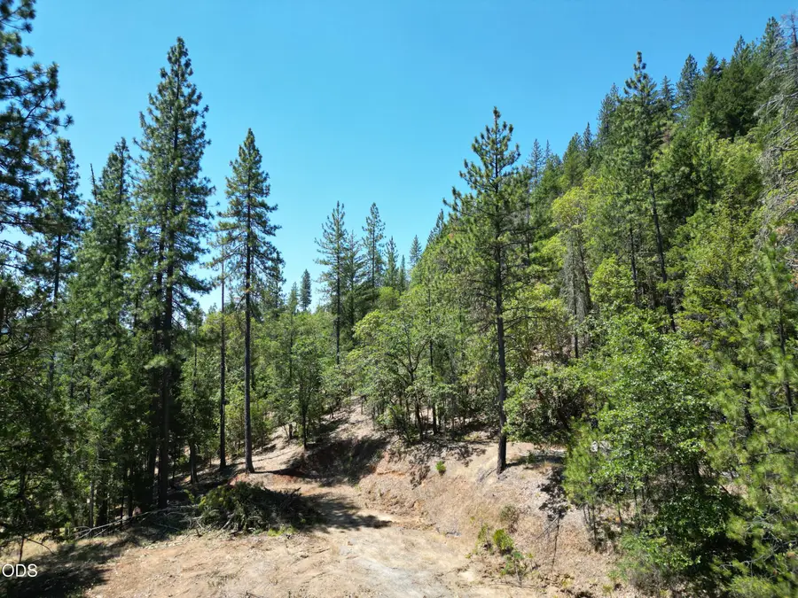 2725 Sykes Creek Road, Rogue River, OR 97537 - #2