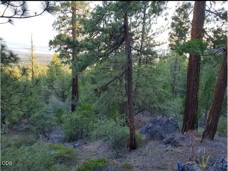 0 Seal Lane #37, Bonanza, OR 97623 - #3
