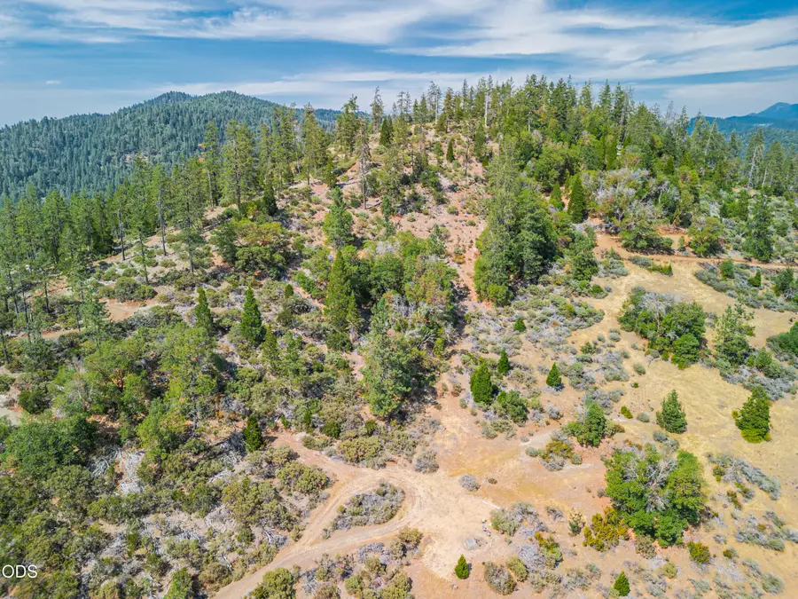 1408 Caves Highway, Cave Junction, OR 97523 - #2