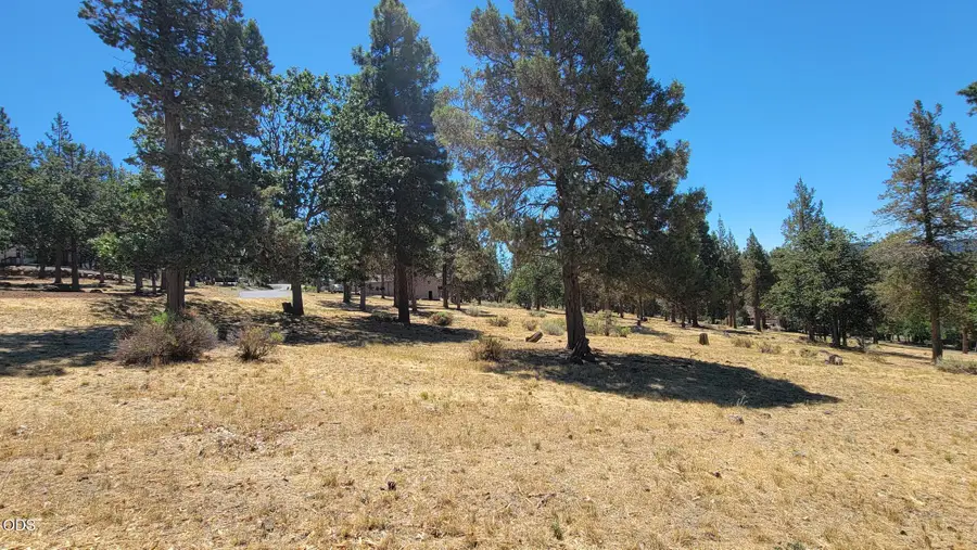 0 Mourning Dove Drive #Lot 520, Klamath Falls, OR 97601 - #3