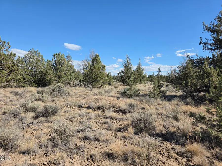 SE Cayuse Road, Prineville, OR 97754 - #3