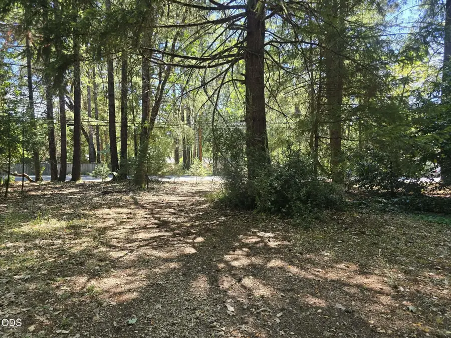 702 Caves Highway, Cave Junction, OR 97523 - #3