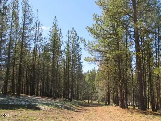 Partin #Lot 3, Beatty, OR 97621