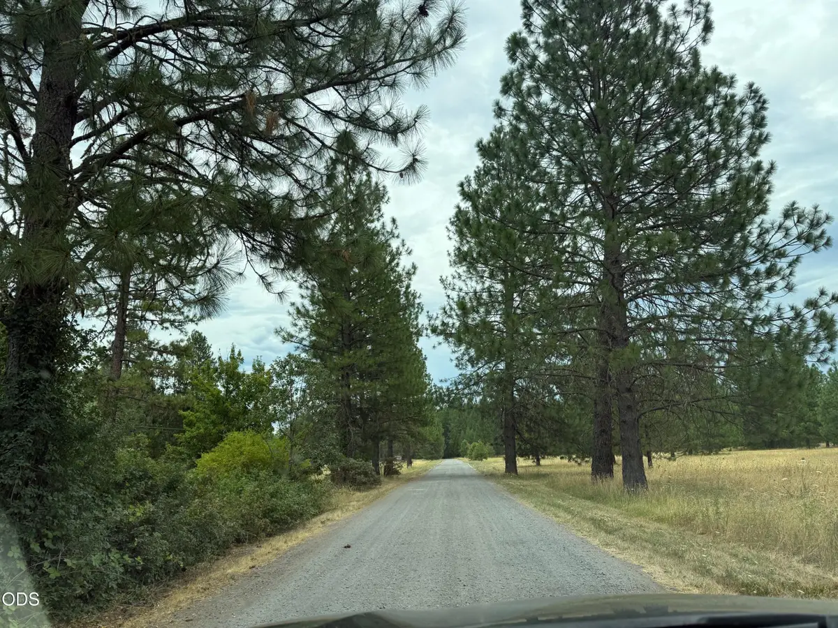 0 Piller Place #922, Cave Junction, OR 97523 - #1