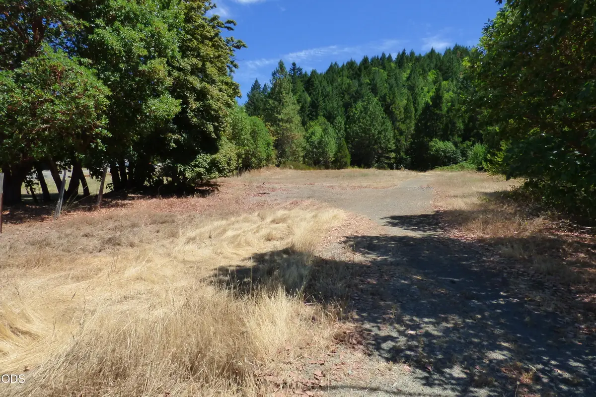 458 Sunny Valley Loop, Wolf Creek, OR 97497 - #1