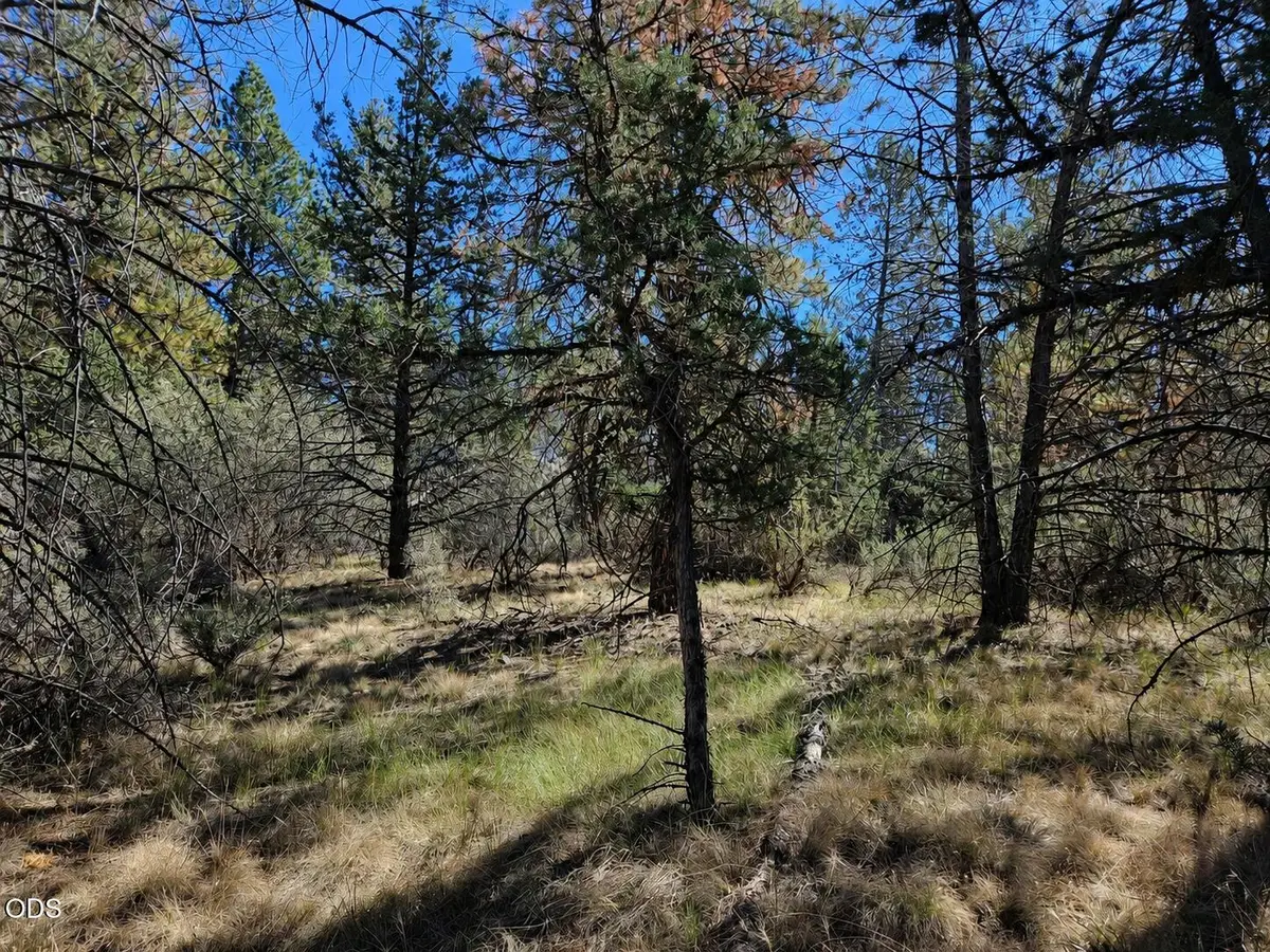 0 Jaguar Lane #29, Bonanza, OR 97623 - #1