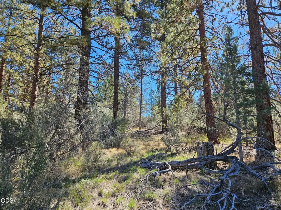 0 Jaguar Lane #29, Bonanza, OR 97623 - #3