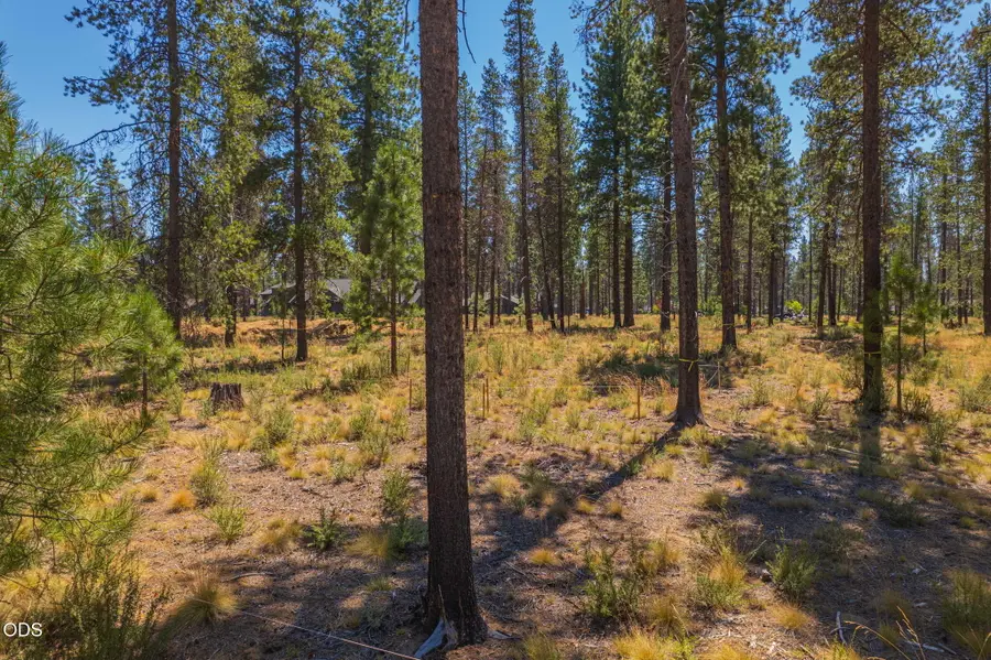 17736 Preservation, Bend, OR 97707 - #2