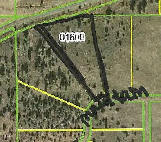 0 Medicine Mountain Drive #Lot 16, Blk 17, Beatty, OR 97621