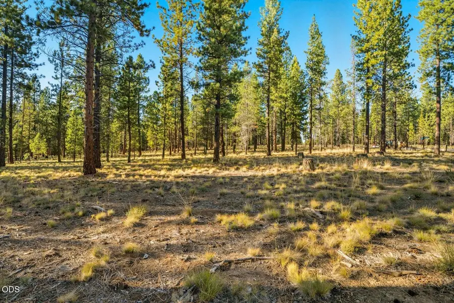 56577 Elk Run Drive #524, Bend, OR 97707 - #2