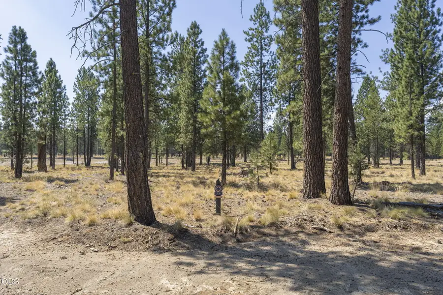 56680 Red Bark Lane #556, Bend, OR 97707 - #2