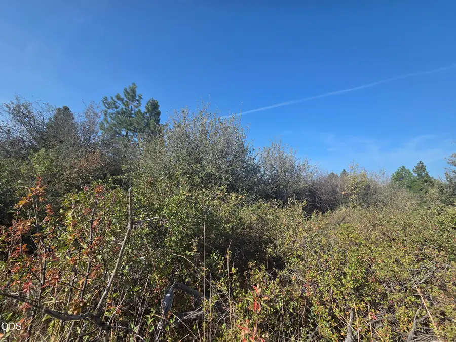 0 Lakeland Road #Lot 24, Chiloquin, OR 97624 - #3
