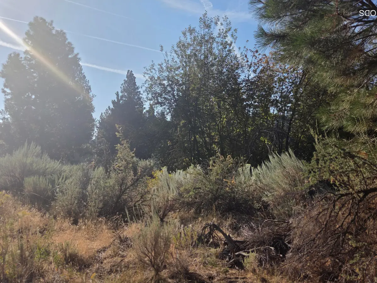 0 Palouse Lane #Lot 5, Chiloquin, OR 97624 - #1