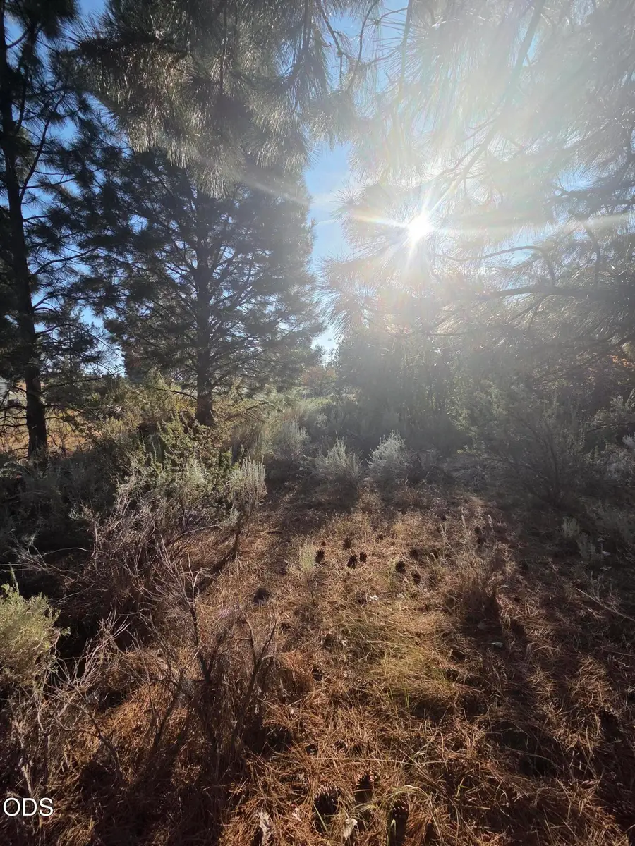 0 Palouse Lane #Lot 5, Chiloquin, OR 97624 - #3
