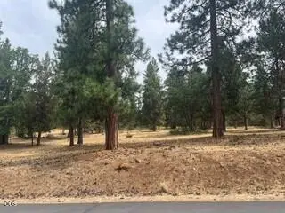 0 Merganser Road #Lot 104, Klamath Falls, OR 97601 - #2
