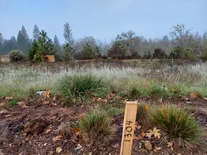 1304 Green Valley Drive, Cave Junction, OR 97523