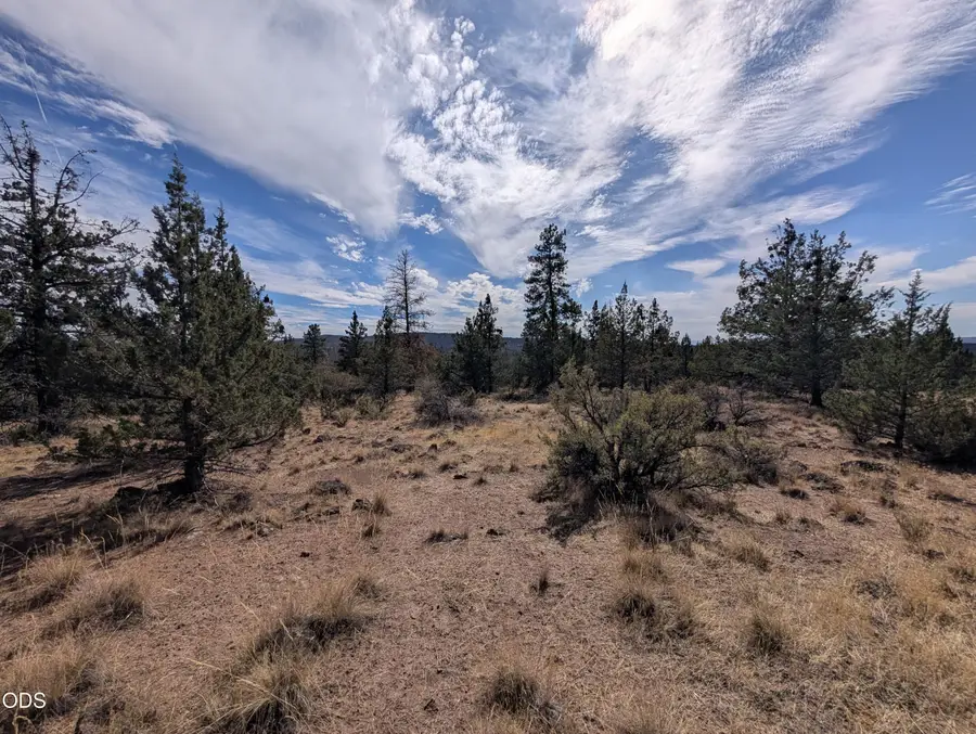 Widgeon Drive #12, Bonanza, OR 97623 - #2
